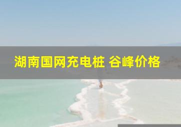 湖南国网充电桩 谷峰价格